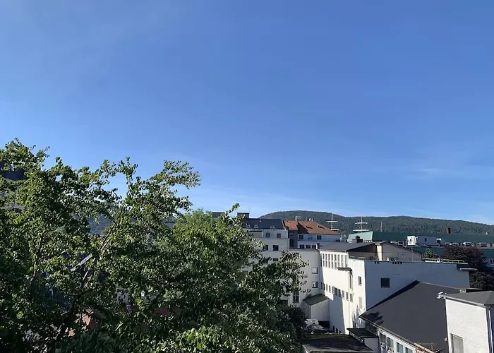 Apartment With Terrace & View